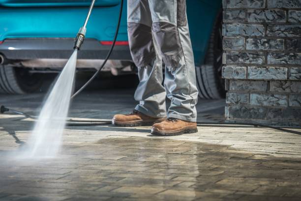 Best Roof Cleaning and Mildew Removal in Carpendale, WV
