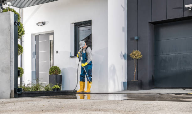Best Fence Cleaning and Maintenance in Carpendale, WV